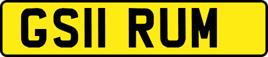 GS11RUM