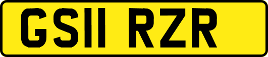 GS11RZR