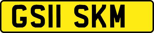 GS11SKM