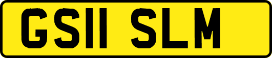 GS11SLM