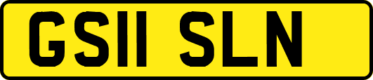 GS11SLN