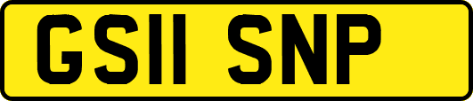 GS11SNP