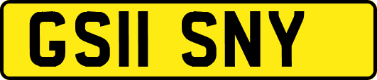 GS11SNY