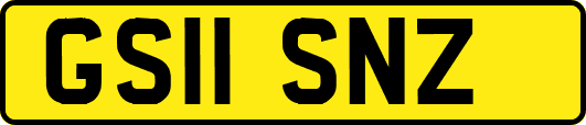 GS11SNZ