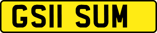 GS11SUM