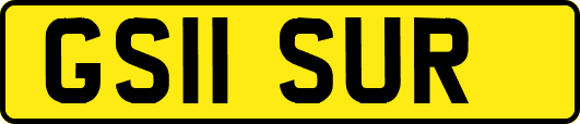 GS11SUR