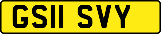 GS11SVY