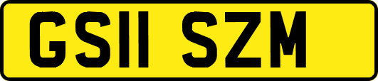 GS11SZM