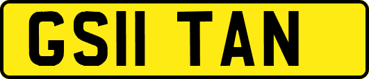GS11TAN