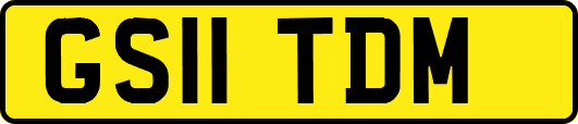 GS11TDM