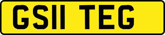 GS11TEG