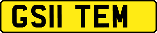 GS11TEM