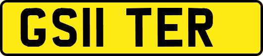 GS11TER