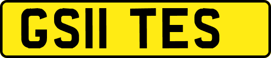 GS11TES