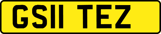 GS11TEZ