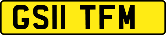 GS11TFM