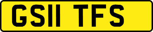 GS11TFS