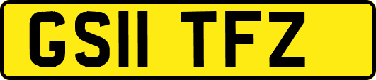 GS11TFZ