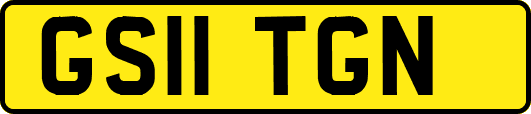 GS11TGN