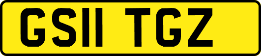 GS11TGZ