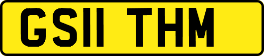 GS11THM
