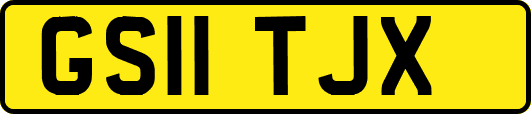 GS11TJX