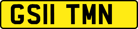 GS11TMN