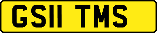 GS11TMS
