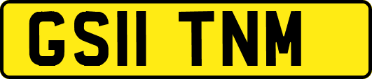 GS11TNM