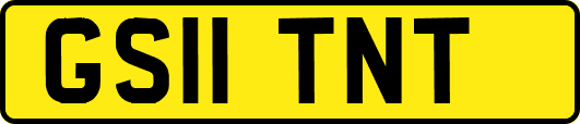 GS11TNT