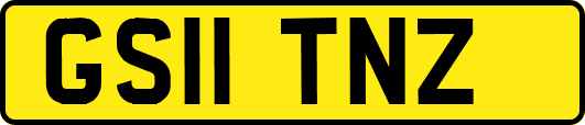 GS11TNZ