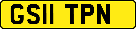 GS11TPN