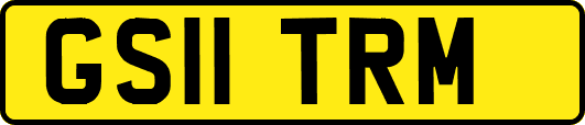 GS11TRM