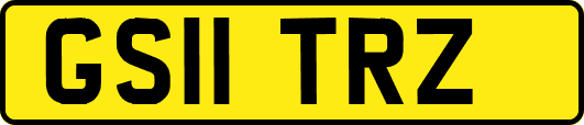 GS11TRZ