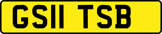 GS11TSB