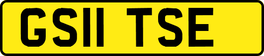 GS11TSE