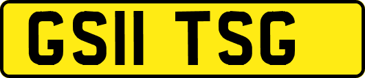 GS11TSG