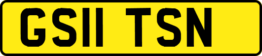 GS11TSN