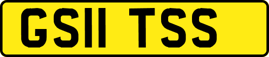 GS11TSS