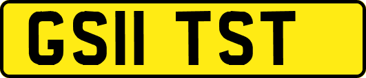 GS11TST