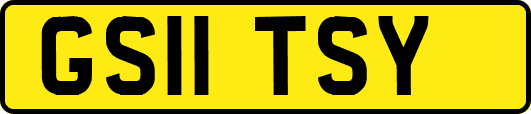 GS11TSY