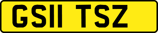 GS11TSZ