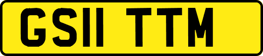 GS11TTM