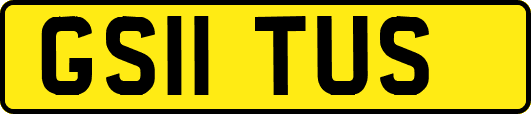 GS11TUS