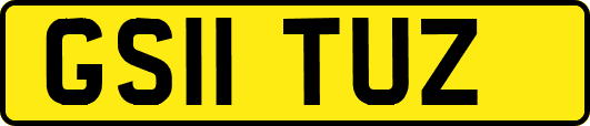 GS11TUZ