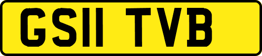 GS11TVB