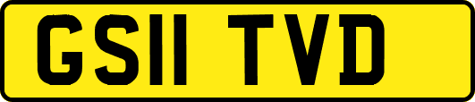 GS11TVD