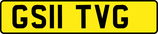 GS11TVG