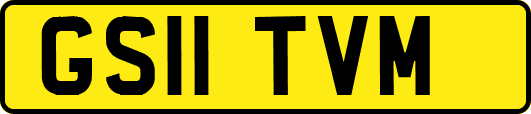 GS11TVM