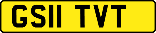 GS11TVT